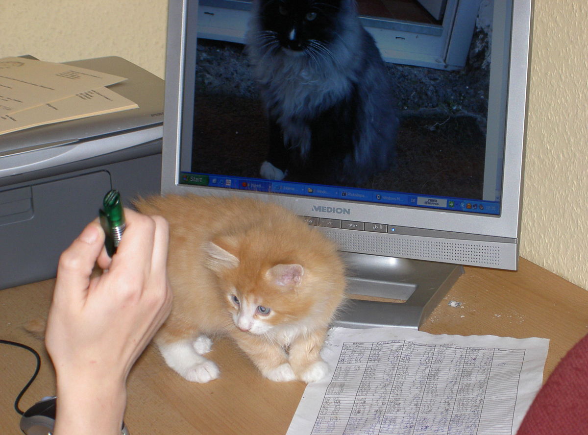 firefox_002