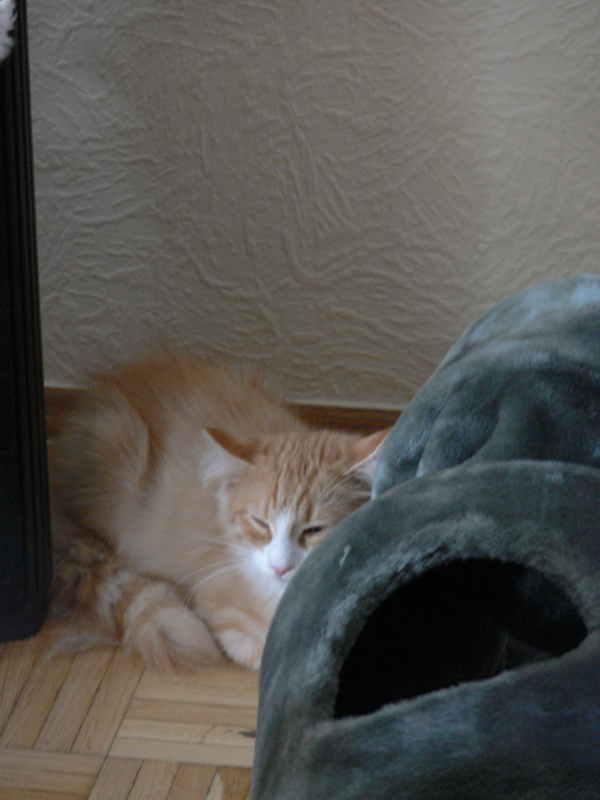 firefox_02