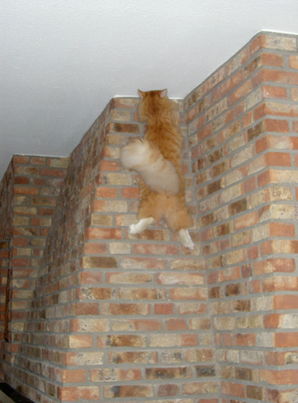 firefox_15
