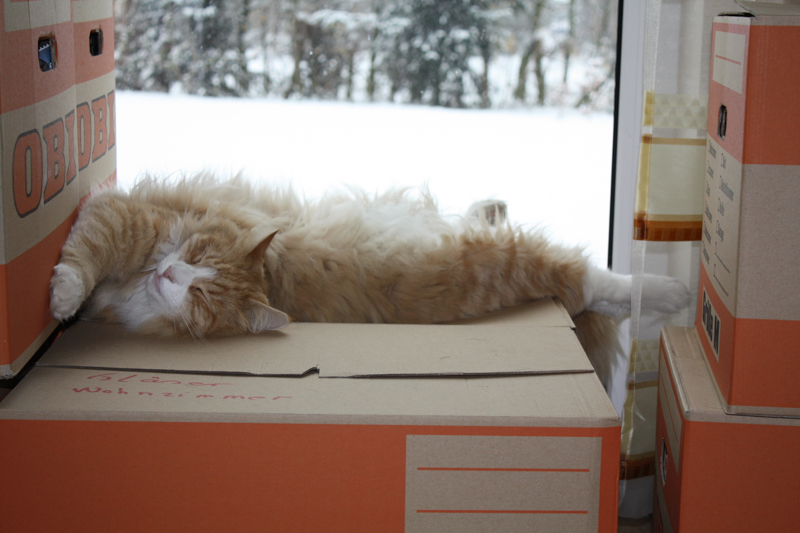 firefox_29