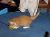 firefox_005