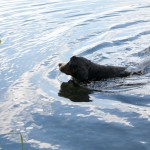 Und im Sommer eine kleine Abkühlung.