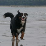 Und anschließend auf Rügen am Meer.