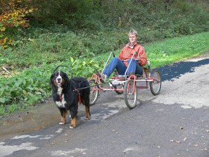 Und es macht riesigen Spaß!