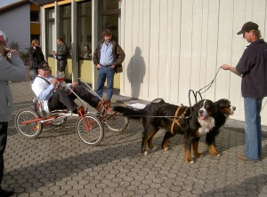 Kurze Zeit später konnten wir das schon auf der Hundemesse in Mühlheim-Kärlich zeigen.