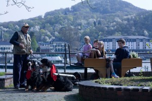 In Bad Geodesberg am Rhein mit der Hundekutsche.