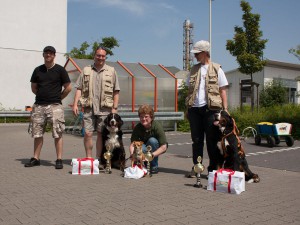In 2009 haben wir eine Zughundeprüfung ausgerichtet. Unser kleinster Zughund (mit entsprechend kleinem Wagen) hat gewonnen.