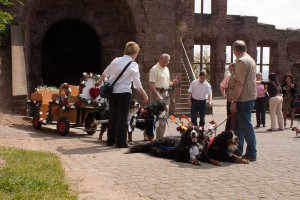 Einer der Höhepunkte war im Jahr 2010 ein Auftritt auf einer Hochzeit.