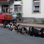 Hier sind wir in Burgbrohl auf einem Straßenfest.