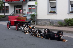 Hier sind wir in Burgbrohl auf einem Straßenfest.