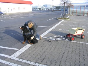 Vorbereitungen zum Einspannen