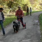 Auch mit dem Trike haben wir geübt.