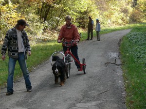 Auch mit dem Trike haben wir geübt.